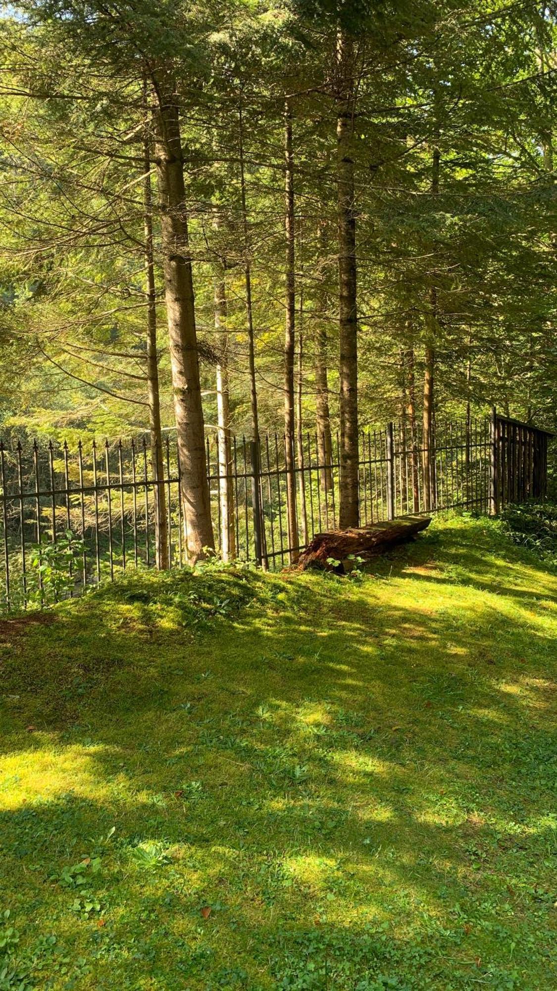 Садиба Nad Prutom Yaremtche Extérieur photo