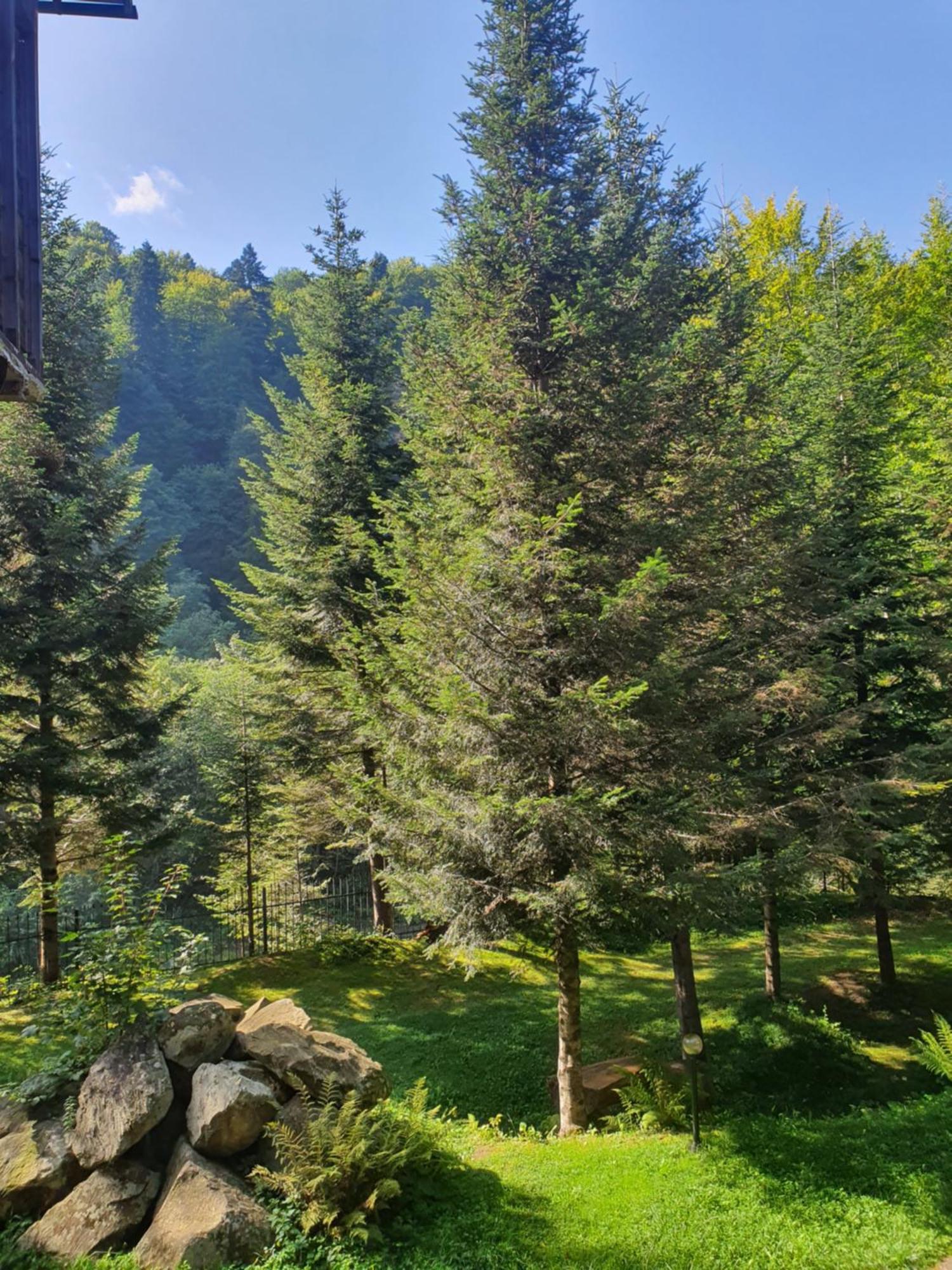 Садиба Nad Prutom Yaremtche Extérieur photo