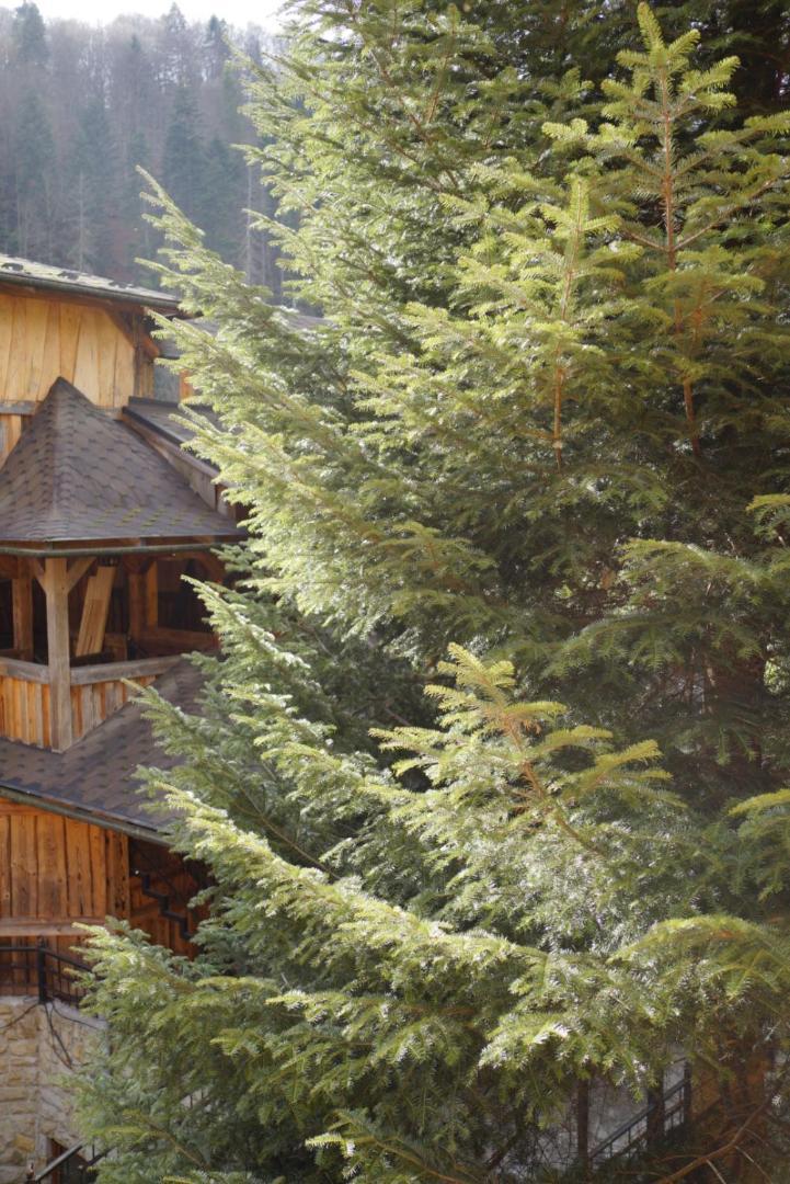 Садиба Nad Prutom Yaremtche Extérieur photo