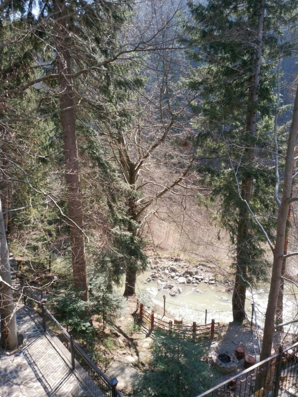 Садиба Nad Prutom Yaremtche Extérieur photo